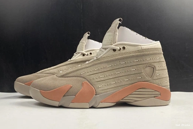828 Sleek Low DC9857- 3303 Jordan 14 Air x CLOT 0729